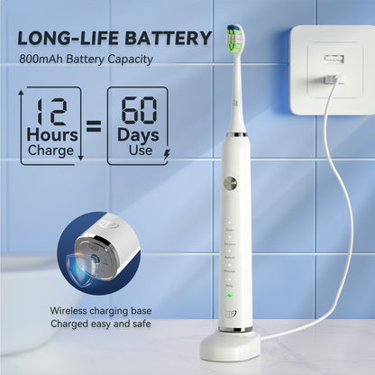 Electric Toothbrush